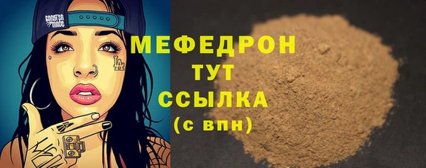 индика Арсеньев