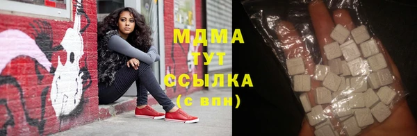 индика Арсеньев