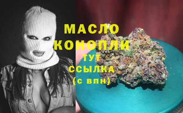 индика Арсеньев