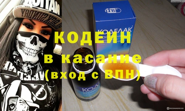 индика Арсеньев