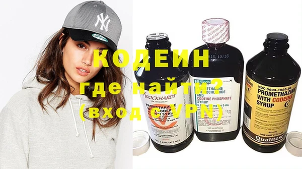 индика Арсеньев