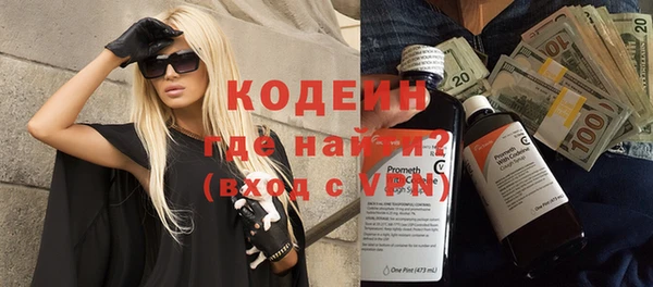 индика Арсеньев