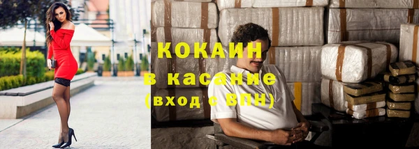 индика Арсеньев