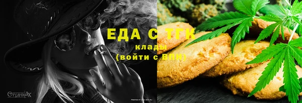 индика Арсеньев